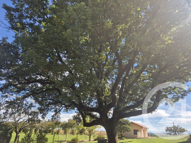 maison à vendre - 6 pièces - 148.97 m2 - BOULOGNE SUR GESSE - 31 - MIDI-PYRENEES - Century 21 Pyrénées Immo