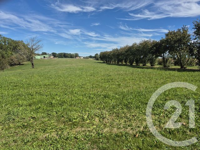 maison à vendre - 6 pièces - 148.97 m2 - BOULOGNE SUR GESSE - 31 - MIDI-PYRENEES - Century 21 Pyrénées Immo