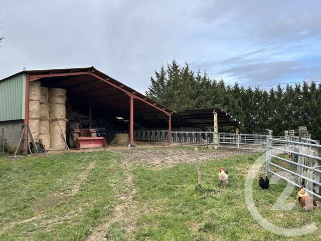 maison à vendre - 6 pièces - 168.8 m2 - BLAJAN - 31 - MIDI-PYRENEES - Century 21 Pyrénées Immo