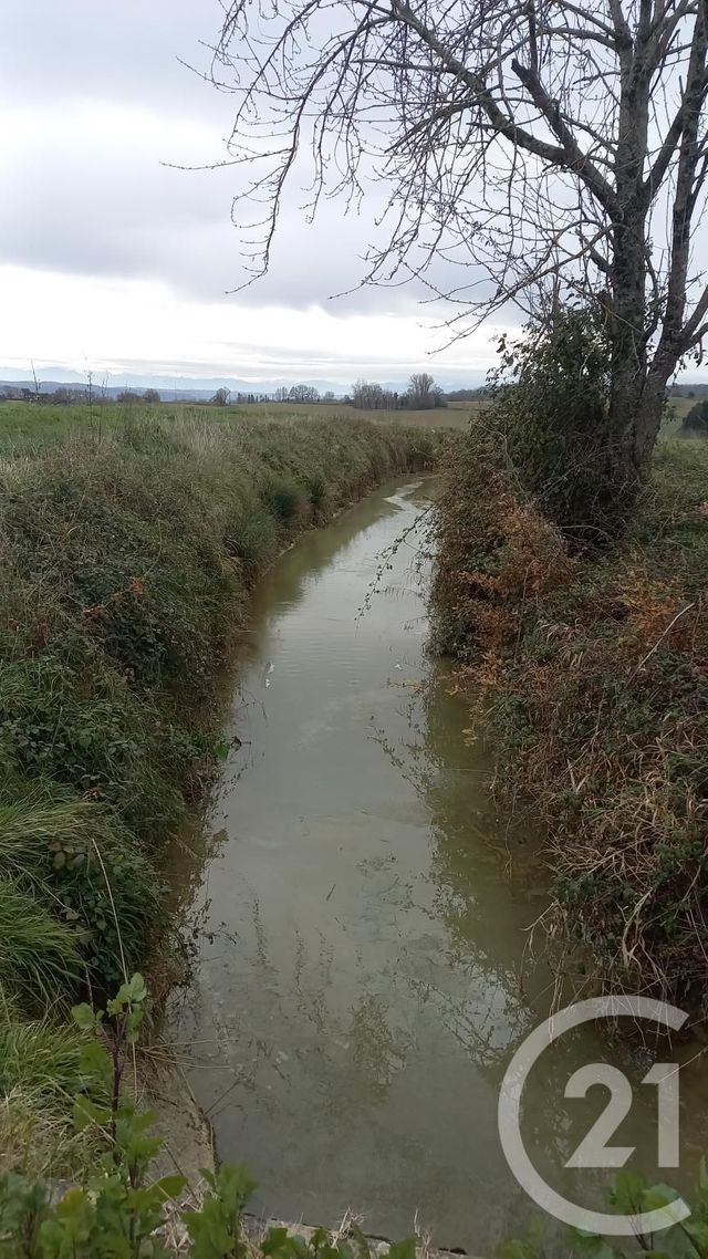 terrain à vendre - 4000.0 m2 - SAMARAN - 32 - MIDI-PYRENEES - Century 21 Pyrénées Immo