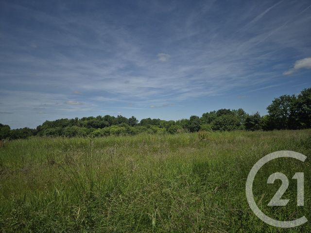 terrain à vendre - 1976.0 m2 - THERMES MAGNOAC - 65 - MIDI-PYRENEES - Century 21 Pyrénées Immo
