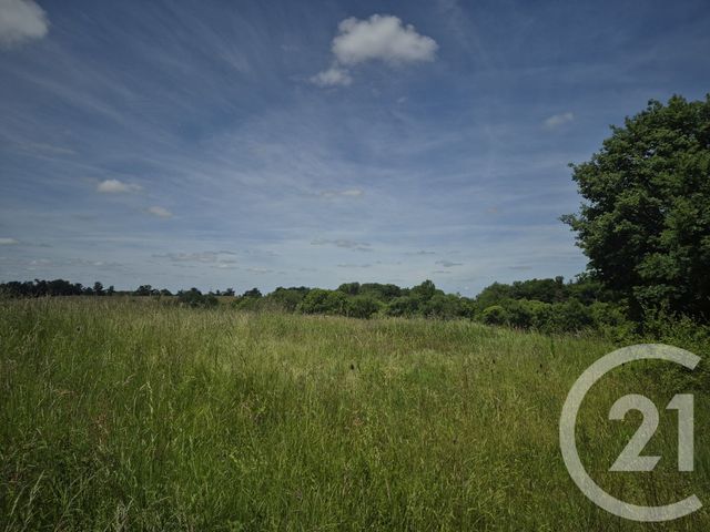 terrain à vendre - 1976.0 m2 - THERMES MAGNOAC - 65 - MIDI-PYRENEES - Century 21 Pyrénées Immo