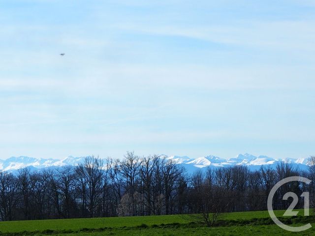 terrain à vendre - 3584.0 m2 - LALANNE ARQUE - 32 - MIDI-PYRENEES - Century 21 Pyrénées Immo