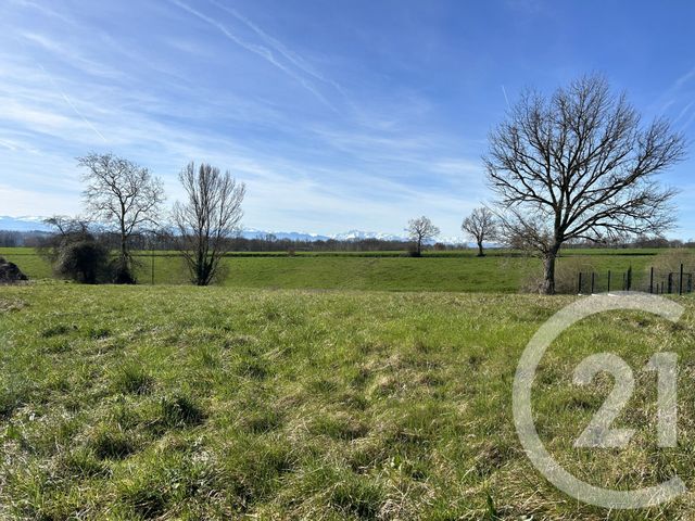 terrain à vendre - 3584.0 m2 - LALANNE ARQUE - 32 - MIDI-PYRENEES - Century 21 Pyrénées Immo