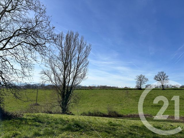 terrain - LALANNE ARQUE - 32