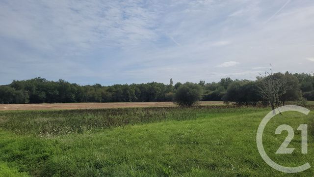 maison à vendre - 5 pièces - 170.0 m2 - MONTBERNARD - 31 - MIDI-PYRENEES - Century 21 Pyrénées Immo