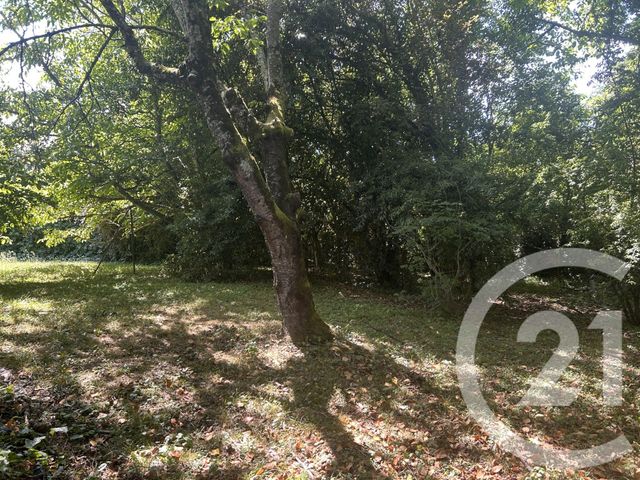 maison à vendre - 5 pièces - 155.6 m2 - BLAJAN - 31 - MIDI-PYRENEES - Century 21 Pyrénées Immo