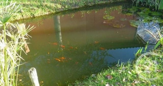 maison à vendre - 12 pièces - 296.55 m2 - MONBARDON - 32 - MIDI-PYRENEES - Century 21 Pyrénées Immo