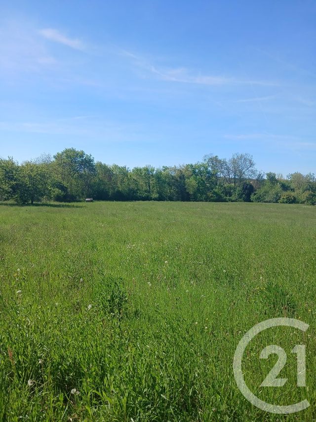 terrain à vendre - 10351.0 m2 - L ISLE EN DODON - 31 - MIDI-PYRENEES - Century 21 Pyrénées Immo