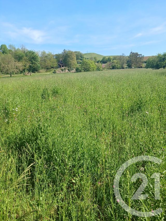 terrain à vendre - 10351.0 m2 - L ISLE EN DODON - 31 - MIDI-PYRENEES - Century 21 Pyrénées Immo