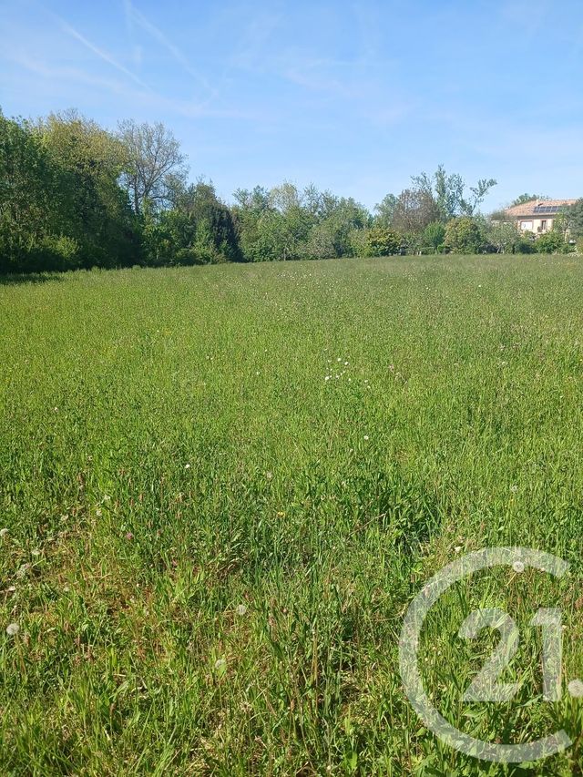 terrain à vendre - 10351.0 m2 - L ISLE EN DODON - 31 - MIDI-PYRENEES - Century 21 Pyrénées Immo