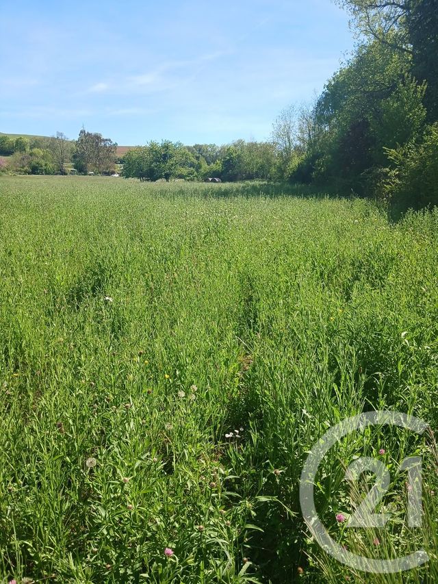 terrain à vendre - 10351.0 m2 - L ISLE EN DODON - 31 - MIDI-PYRENEES - Century 21 Pyrénées Immo