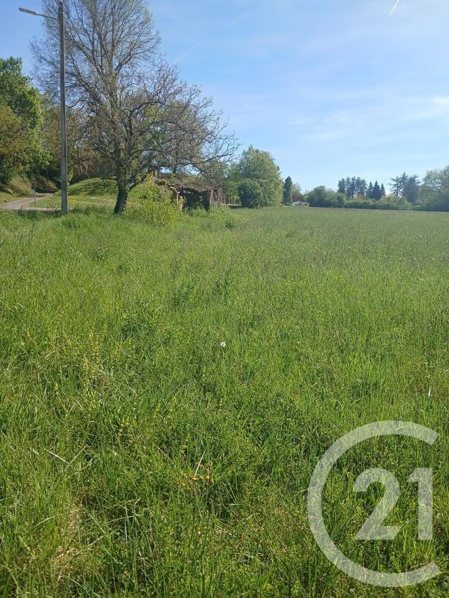 terrain à vendre - 10351.0 m2 - L ISLE EN DODON - 31 - MIDI-PYRENEES - Century 21 Pyrénées Immo