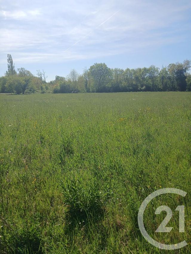 terrain à vendre - 10351.0 m2 - L ISLE EN DODON - 31 - MIDI-PYRENEES - Century 21 Pyrénées Immo