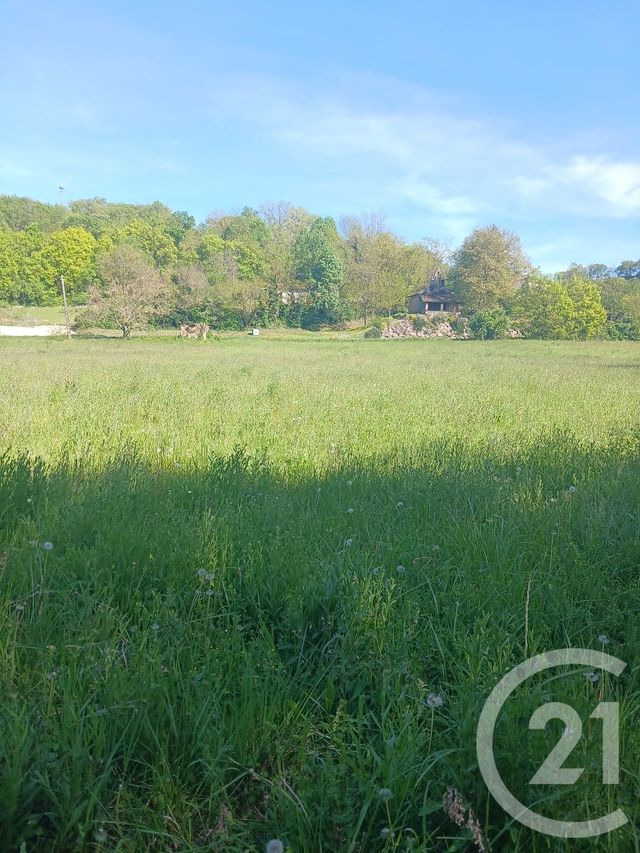 terrain à vendre - 10351.0 m2 - L ISLE EN DODON - 31 - MIDI-PYRENEES - Century 21 Pyrénées Immo