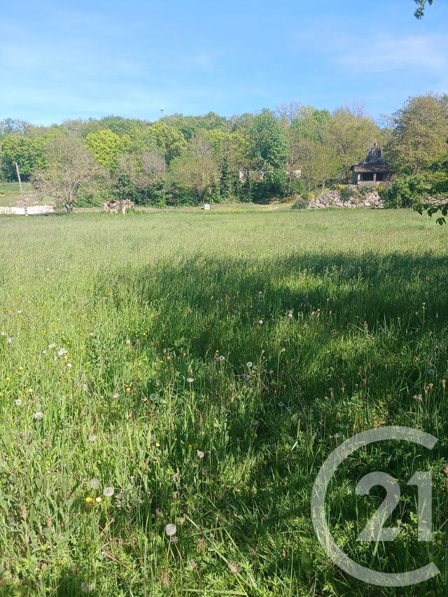 terrain à vendre - 10351.0 m2 - L ISLE EN DODON - 31 - MIDI-PYRENEES - Century 21 Pyrénées Immo