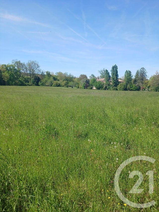 terrain à vendre - 10351.0 m2 - L ISLE EN DODON - 31 - MIDI-PYRENEES - Century 21 Pyrénées Immo
