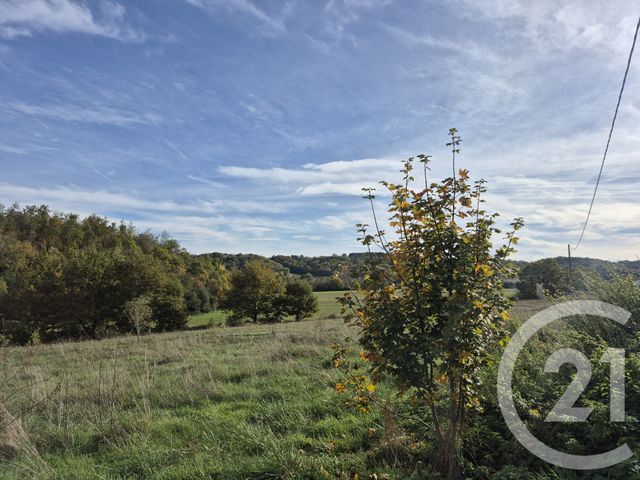 maison à vendre - 10 pièces - 303.43 m2 - GENSAC DE BOULOGNE - 31 - MIDI-PYRENEES - Century 21 Pyrénées Immo