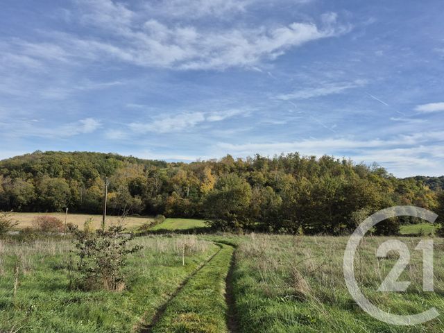 maison à vendre - 10 pièces - 303.43 m2 - GENSAC DE BOULOGNE - 31 - MIDI-PYRENEES - Century 21 Pyrénées Immo