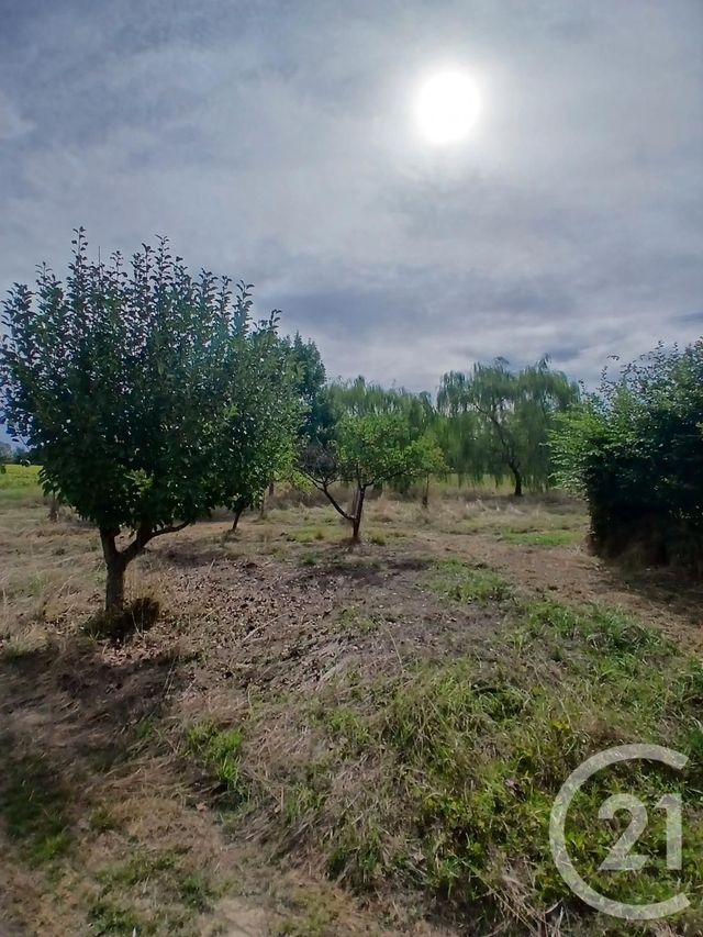 maison à vendre - 5 pièces - 169.0 m2 - 31 - MIDI-PYRENEES - Century 21 Pyrénées Immo