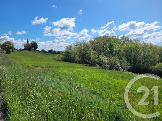 terrain à vendre - 13135.0 m2 - THERMES MAGNOAC - 65 - MIDI-PYRENEES - Century 21 Pyrénées Immo