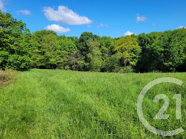 terrain à vendre - 6910.0 m2 - THERMES MAGNOAC - 65 - MIDI-PYRENEES - Century 21 Pyrénées Immo