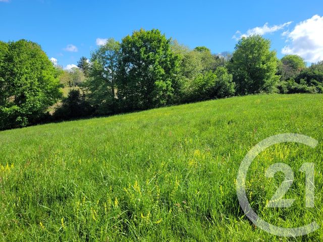 terrain à vendre - 6910.0 m2 - THERMES MAGNOAC - 65 - MIDI-PYRENEES - Century 21 Pyrénées Immo